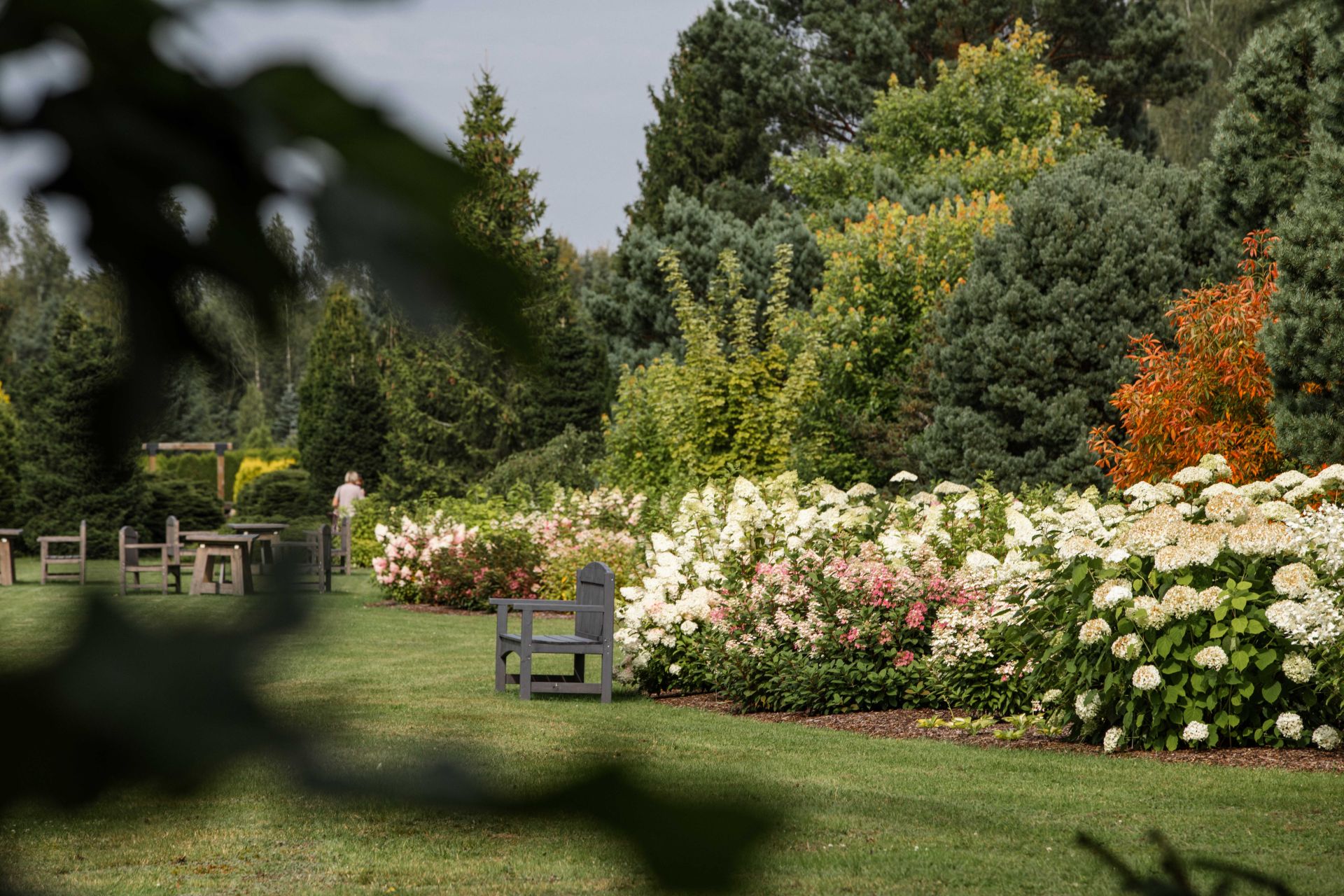 LVM Kalsnavas arborētuma apmeklējums